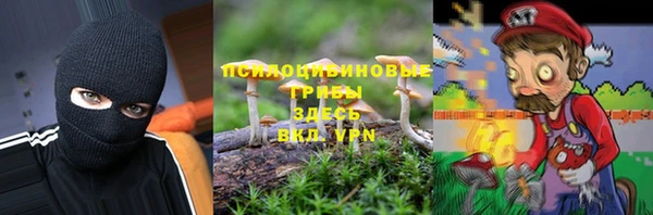 ГАЛЛЮЦИНОГЕННЫЕ ГРИБЫ Заволжье