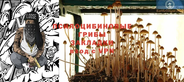 ГАЛЛЮЦИНОГЕННЫЕ ГРИБЫ Заволжье