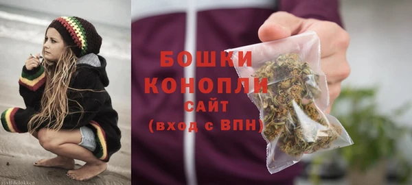 ГАЛЛЮЦИНОГЕННЫЕ ГРИБЫ Заволжье