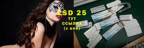 ГАЛЛЮЦИНОГЕННЫЕ ГРИБЫ Заволжье