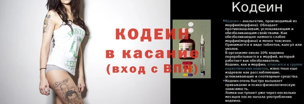 ГАЛЛЮЦИНОГЕННЫЕ ГРИБЫ Заволжье