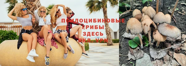ГАЛЛЮЦИНОГЕННЫЕ ГРИБЫ Заволжье