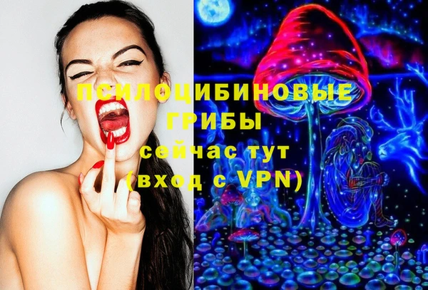 тгк Заводоуковск