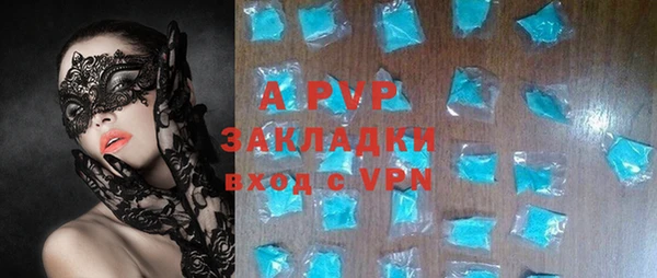 ГАЛЛЮЦИНОГЕННЫЕ ГРИБЫ Заволжье