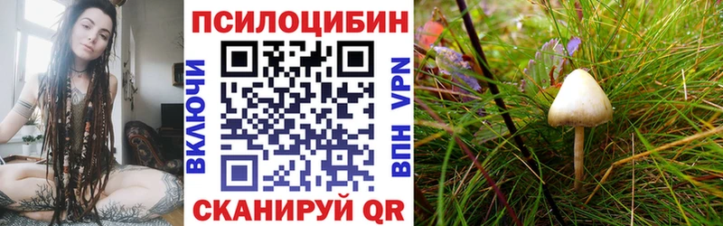 Купить закладки  Инта  Галлюциногенные грибы прущие грибы 